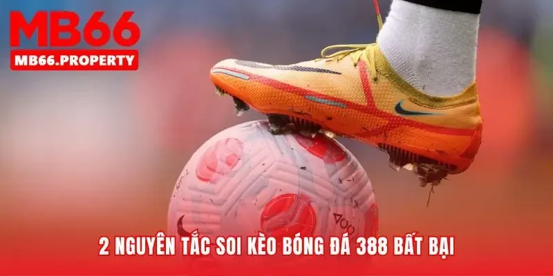 Nhìn thấu ý đồ nhà cái qua các con số