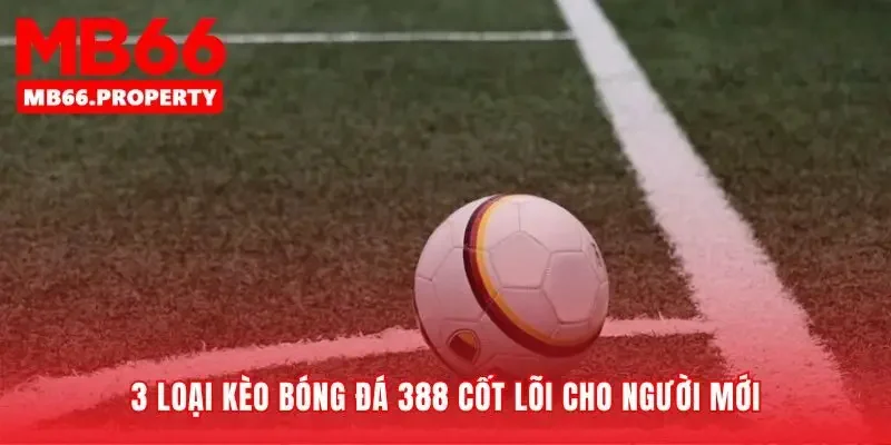 Ba công cụ phân tích kèo bóng đá 388 thiết yếu