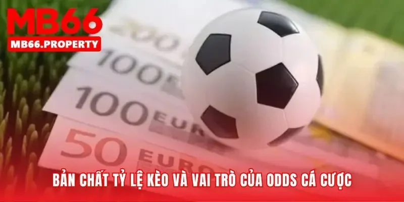 Tiết lộ khoa học đằng sau mỗi tỷ lệ kèo