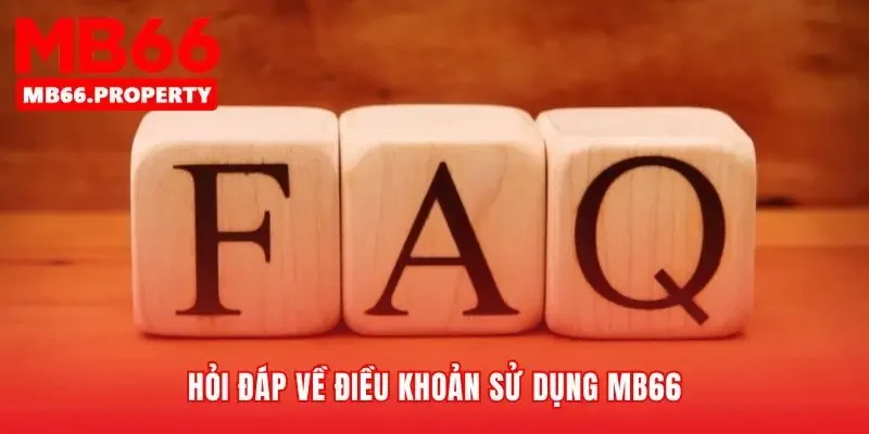 Giải đáp những thắc mắc về điều khoản sử dụng