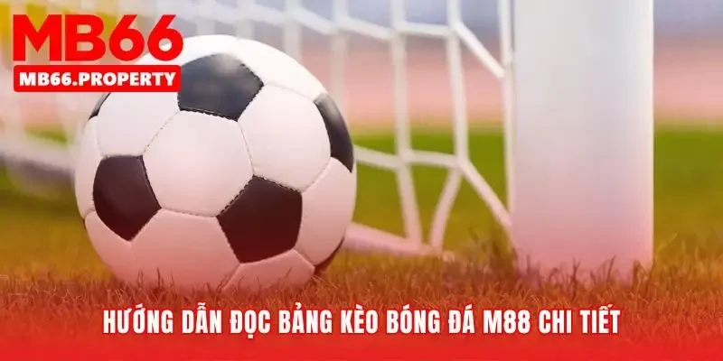 Giải mã bảng kèo và những câu chuyện đằng sau