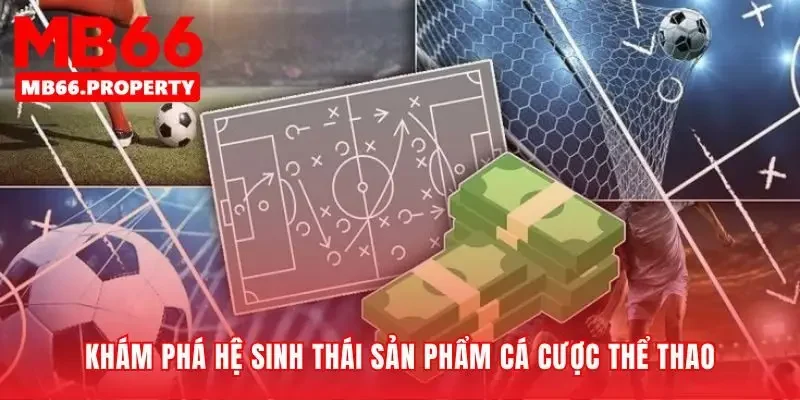 Nơi mọi đam mê cá cược thể thao đều hội tụ