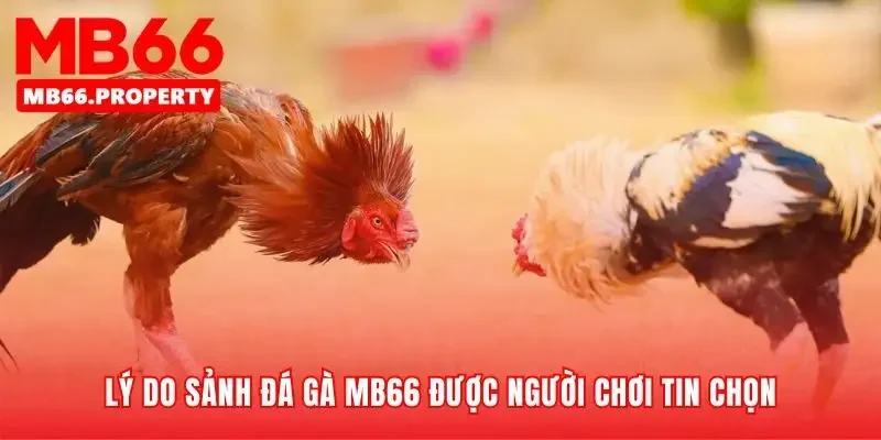 Công nghệ vượt trội tạo nên sự tin tưởng tuyệt đối