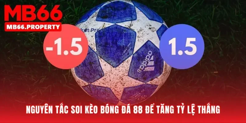 Phương pháp biến số liệu thành lợi thế