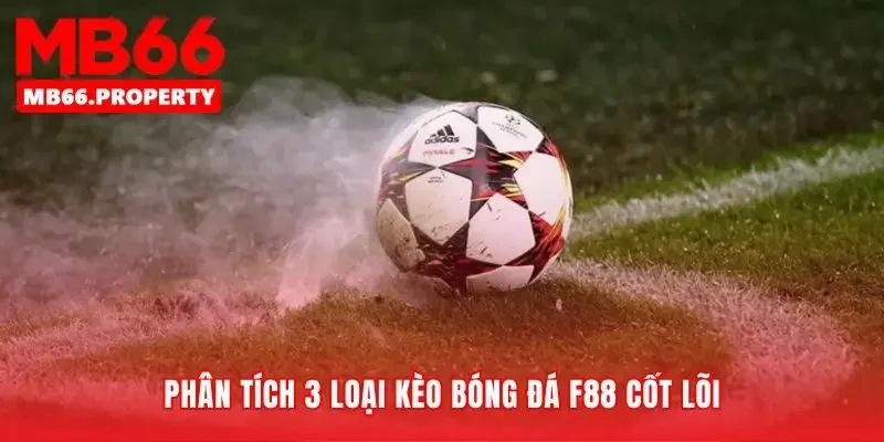 Ba quy tắc nền tảng của bảng tỷ lệ kèo bóng đá f88