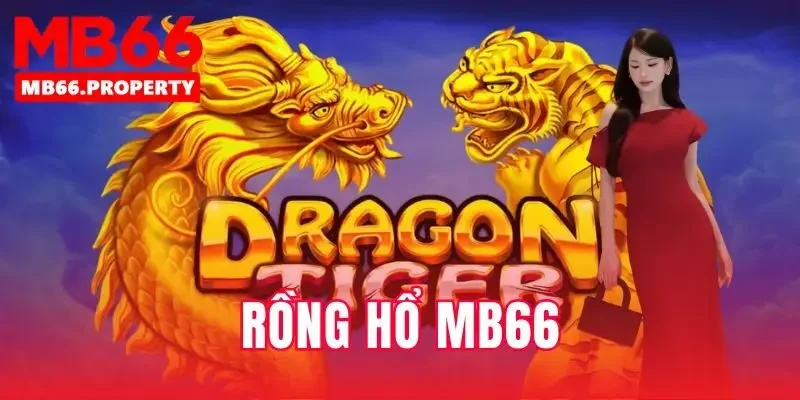 Rồng Hổ mb66
