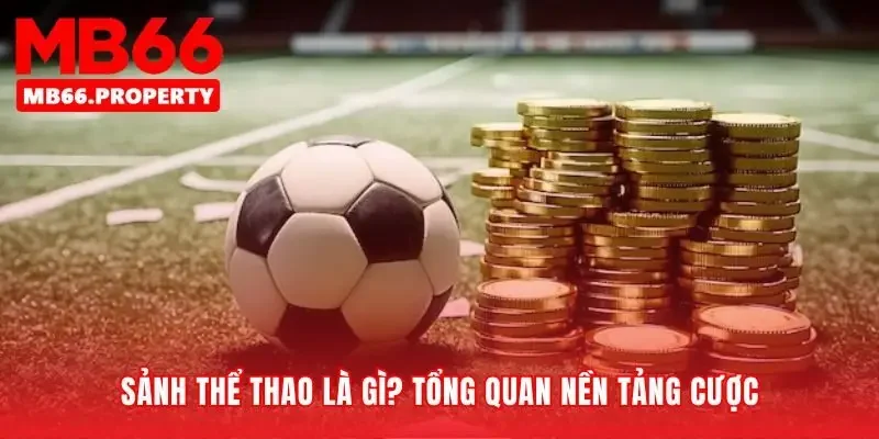 Nền tảng thoả sức cho đam mê cá cược thể thao