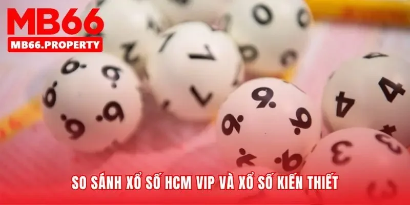 Đặt cược truyền thống và Hồ Chí Minh VIP lên bàn cân