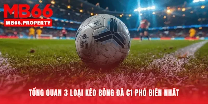 Nền tảng vững chắc cho mọi dự đoán kèo bóng đá C1